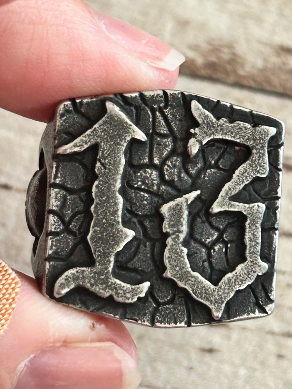 5/$25 Leathercraft 13 Metal Bead Charm - Black and Silver Reptile Accessory